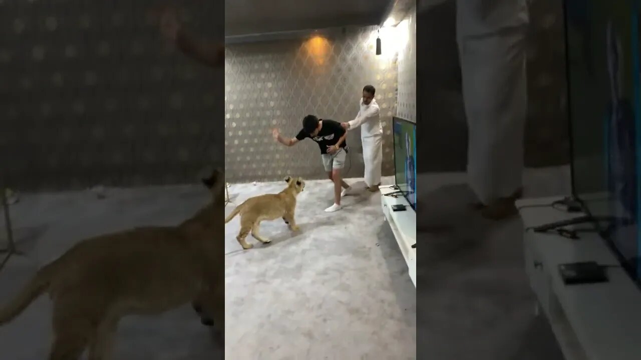 Tiger PET