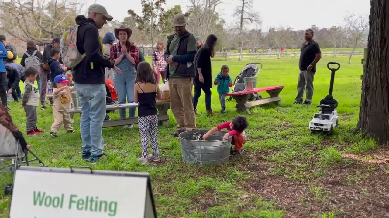 A visit to the Ardenwood Historic Farm.