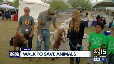 Walk to save animals taking place in Tempe