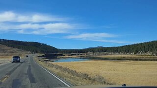 Driving in Hayden Valley
