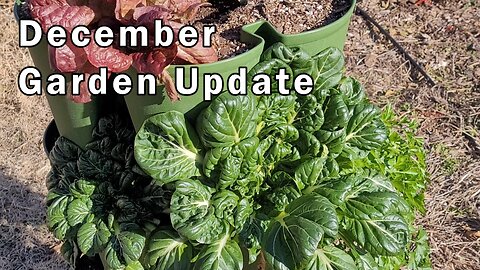 Taking a Short Break and Why - And a Quick Garden Update