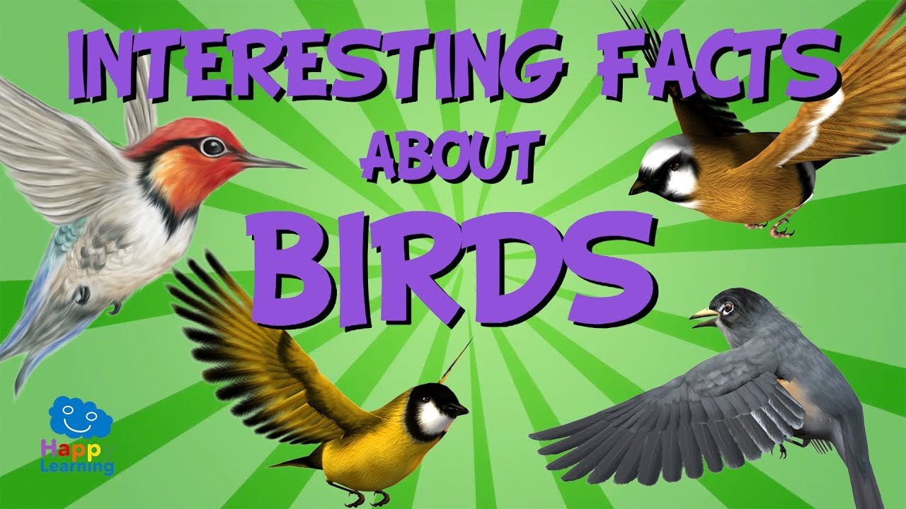 Amazing facts about birds || part 1