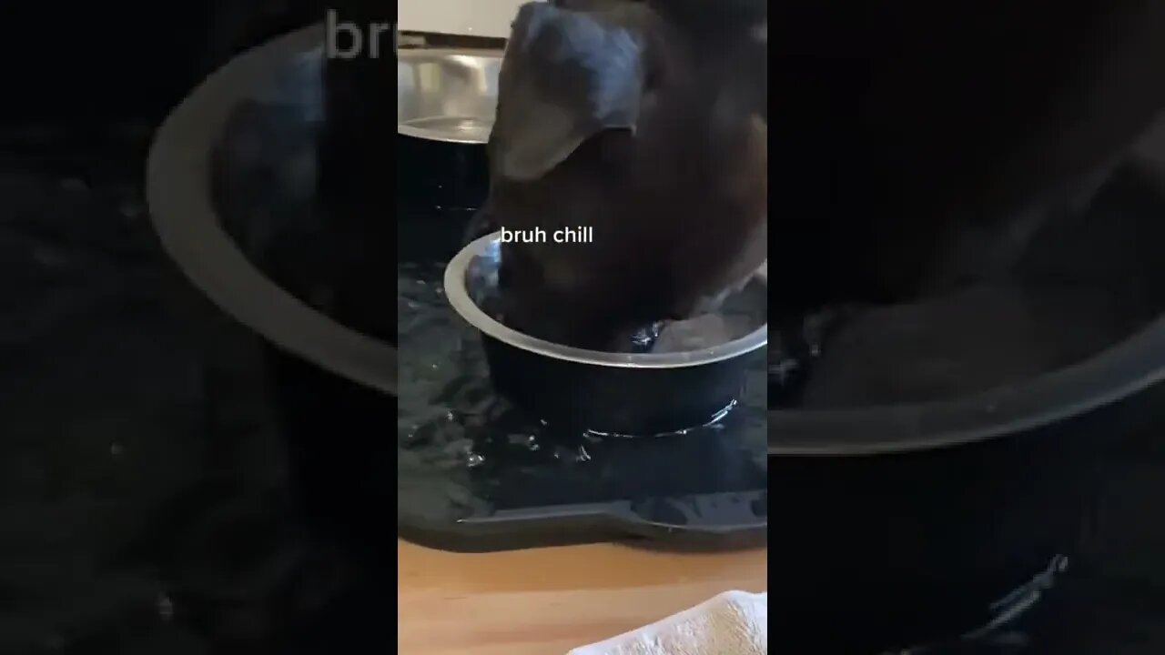 Me in the middle of the night Video By paityn #Shorts