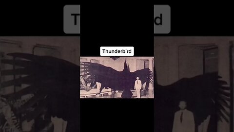 Animals That Used To Be Monsters 😳 #trending #shorts #animals