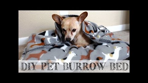 DIA 10 minute pet snuggle Bed |