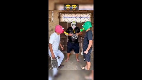 Funny videos