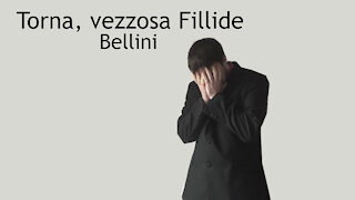 Torna, vezzosa Fillide - 15 chamber compositions - Bellini