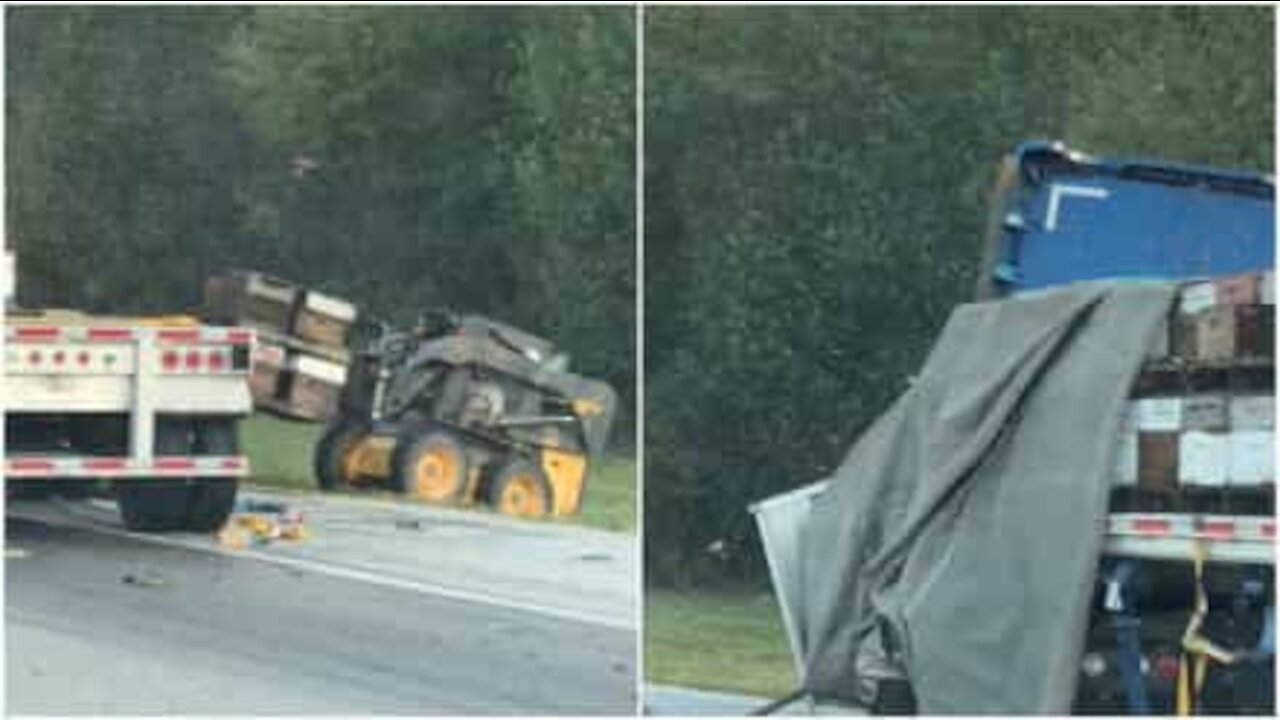 Api invadono la strada in seguito a un incidente