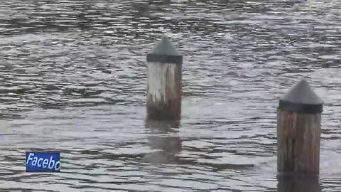 Wolf River flooding in Fremont dries up business