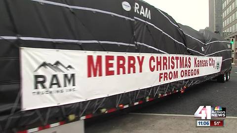 Mayor's Christmas Tree arrives at Crown Center