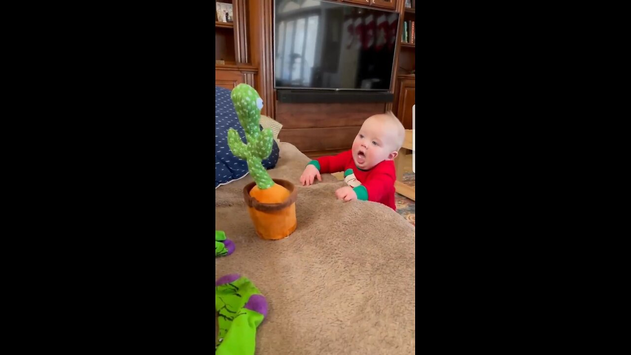 Cute babies playing with Dancing cactus