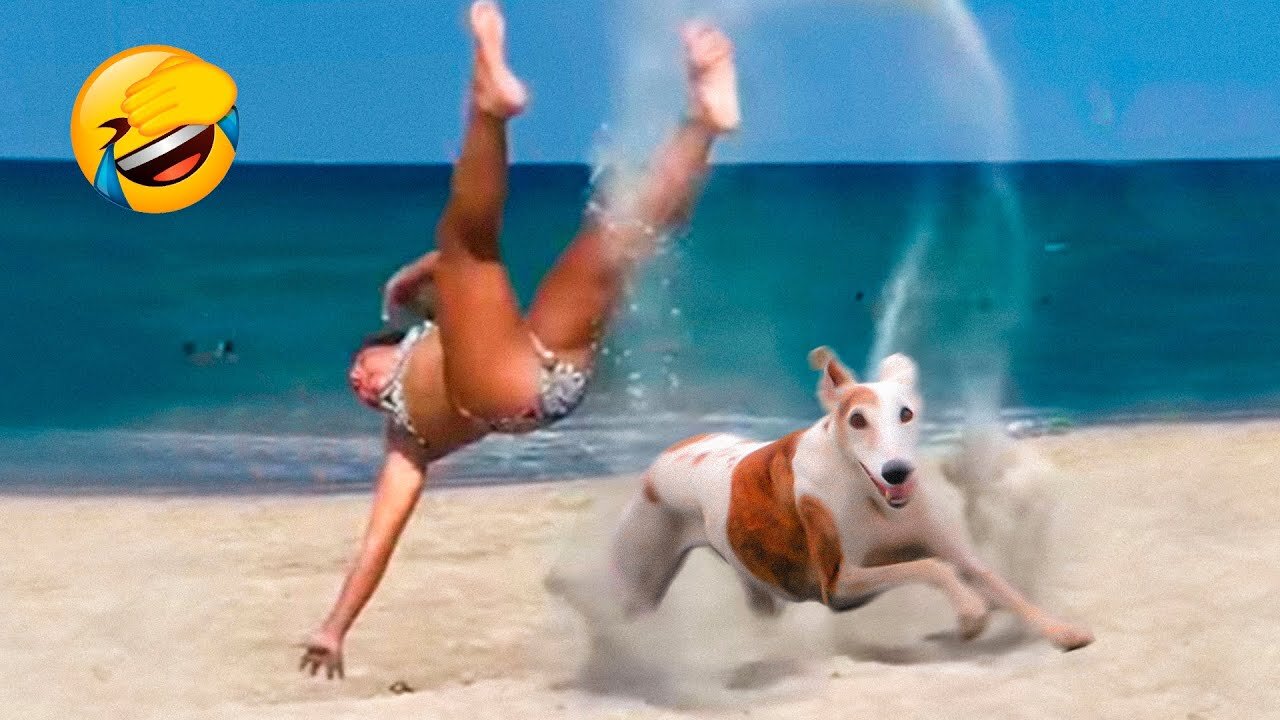 Crazy Funny Animal Videos 2022 - Funniest Dogs And Cats Videos