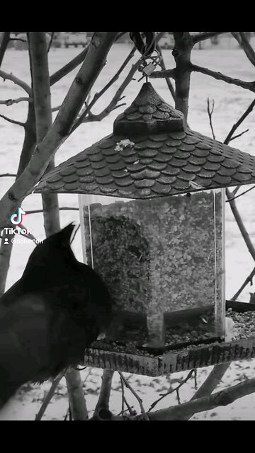 what makes you think I give a