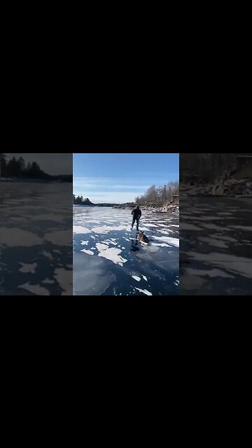 Fishermen help a deer stuck on a frozen river