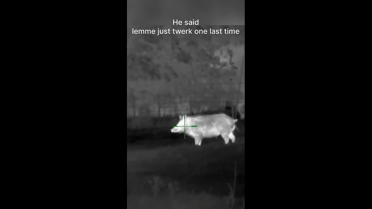 Shocking: Sniper Takes Down Trespassing Boat on Our Farm 🎯🚤