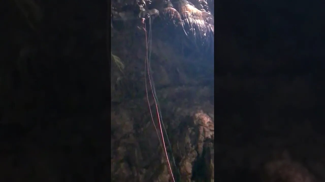 Moaning Caverns Adventure: Rappelling Rope Down.