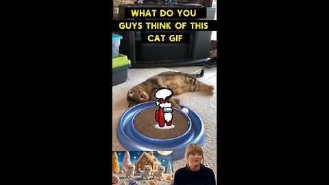 Cute Cat Gif