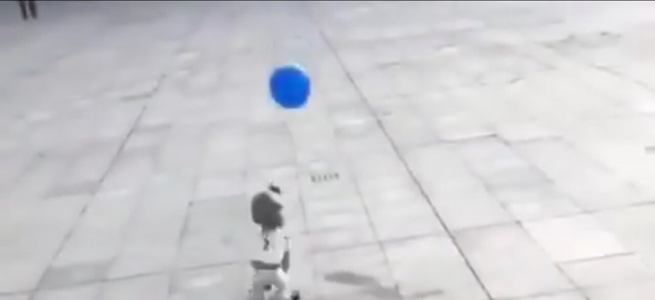 Dog playing football with a balloon in the streets