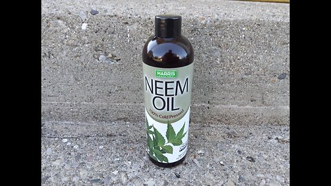 Using Organic Neem Oil On Garden Plants 5/31/23