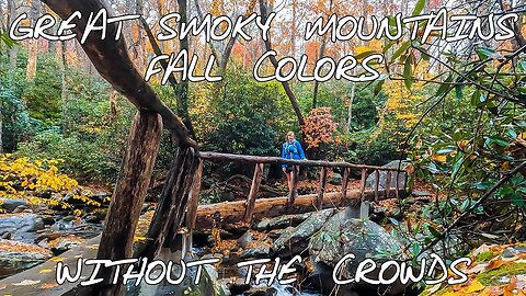 Autumn Hiking in the Great Smoky Mountains - Mushrooms, Bridges, and Fall Colors