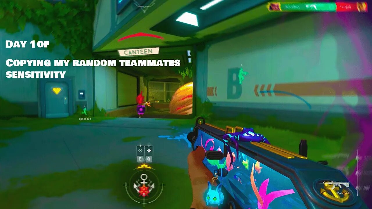 Using my random teammate's settings Day 1 out idk yet #ad ?