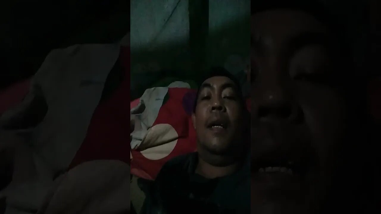sehari sahari di temani zahra dan kucing saya si meong.