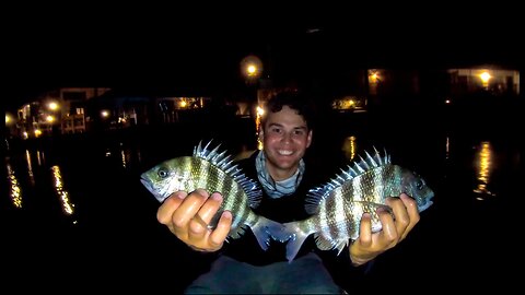 We caught these fish in our CAST NET! Sheepshead and eggs (CATCH & COOK)