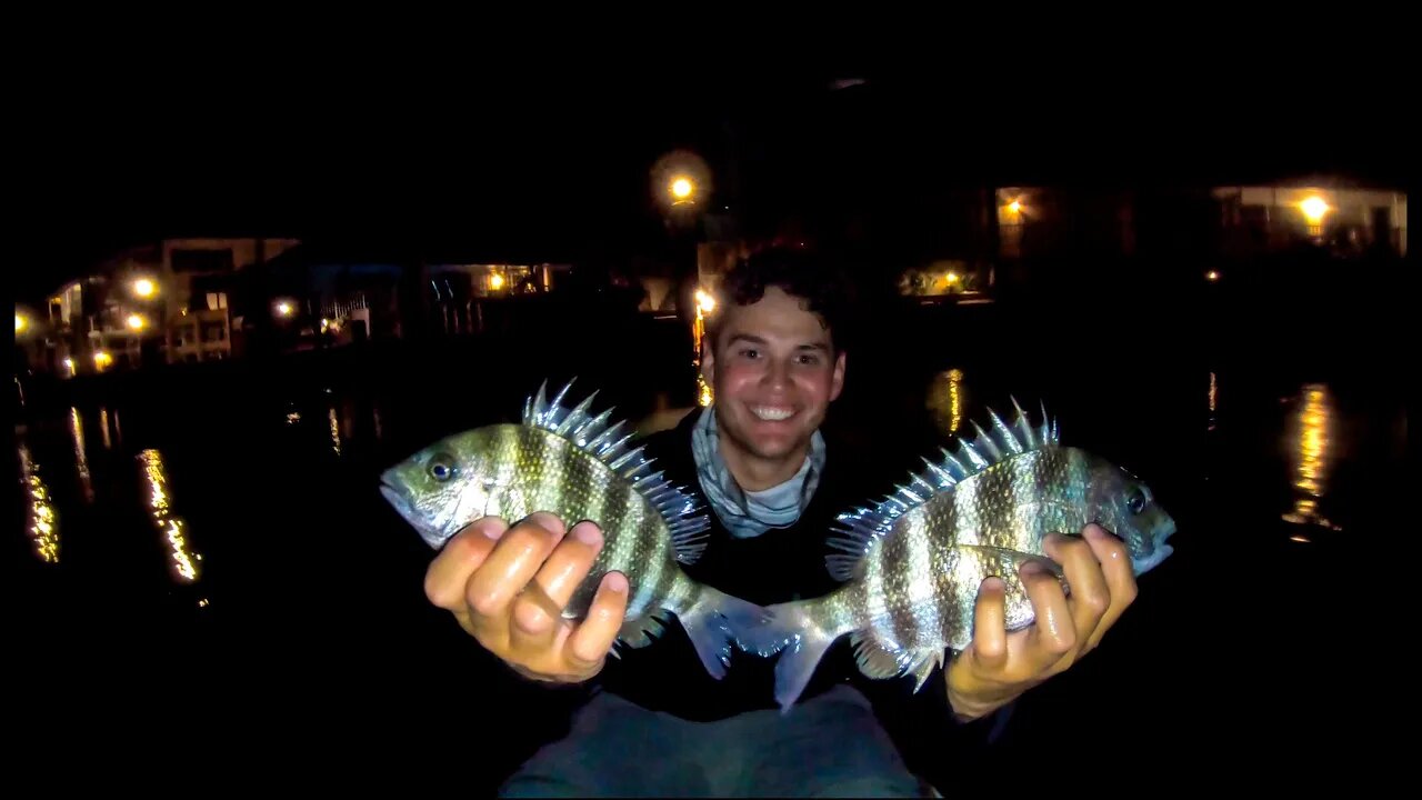 We caught these fish in our CAST NET! Sheepshead and eggs (CATCH & COOK)