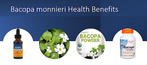 Bacopa monnieri Benefits