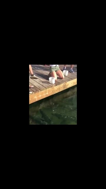 Girl Drops Phone In Water While Feeding Fish! #MegaFails #Shorts