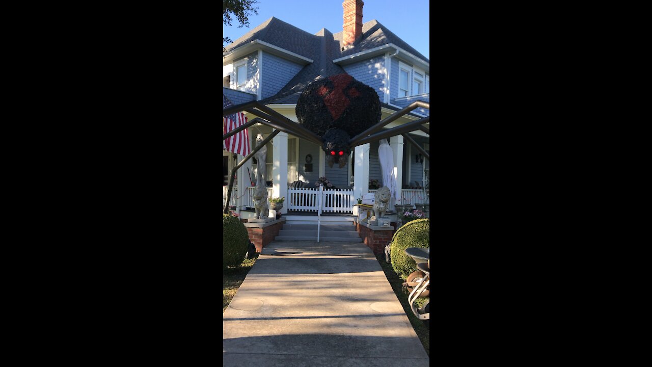 Giant Spider Halloween decoration