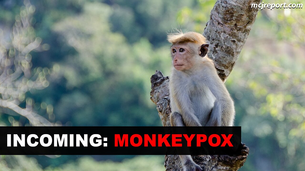 Monkeypox