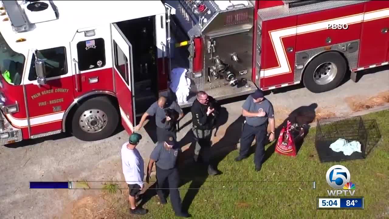 PBSO deputies rescue two puppies