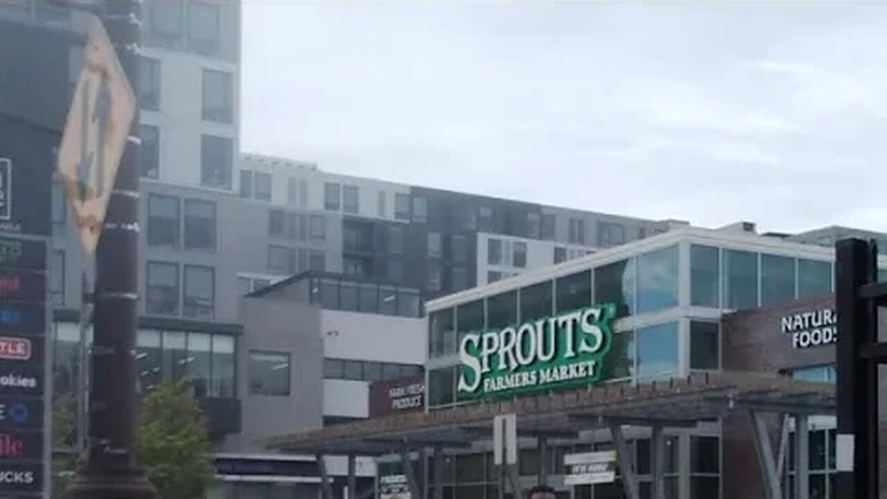 Cruise Up Broad Street After Dog Walk & Sprouts Market 🐙🦚