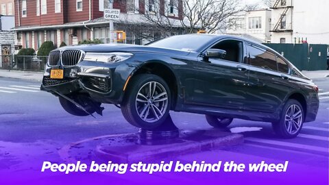 People being stupid behind the wheel