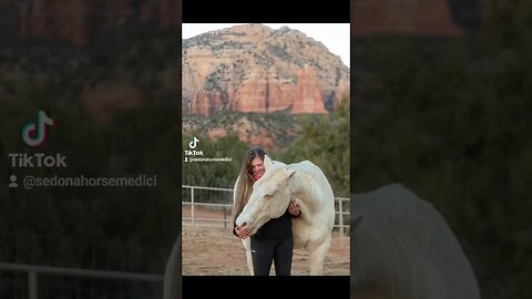 Sedona Horse Medicine