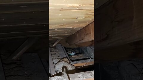 Investigating a roof leak in the attic and bedroom. #shorts