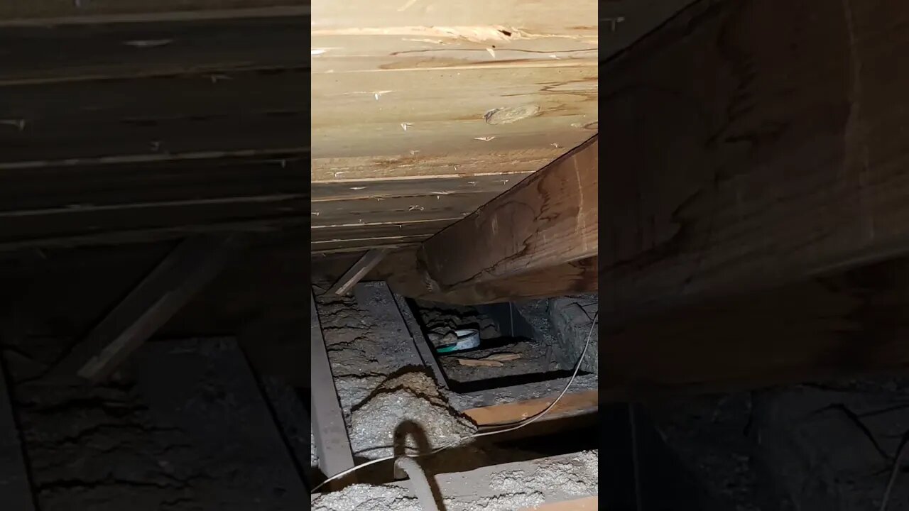 Investigating a roof leak in the attic and bedroom. #shorts