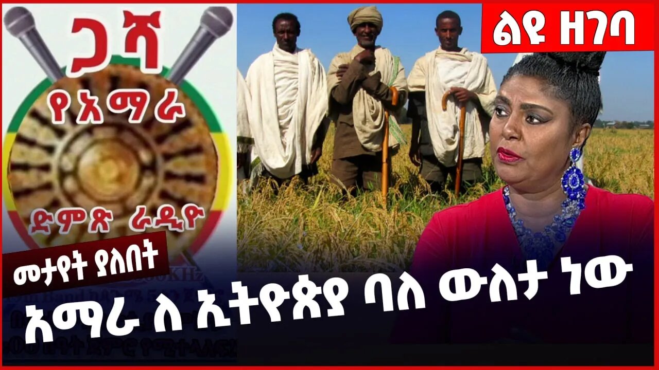 #Ethiopia አማራ ለ ኢትዮጵያ ባለ ውለታ ነው ❗️❗️❗️ Amhara | Fano | Welega | Ye harer Werk | OPDO | Jan-16-23