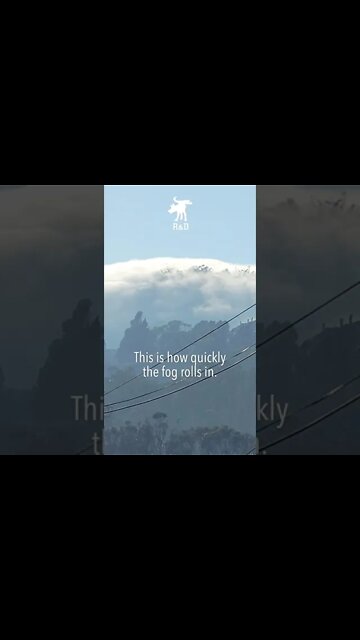 45 seconds of San Francisco Fog #shorts