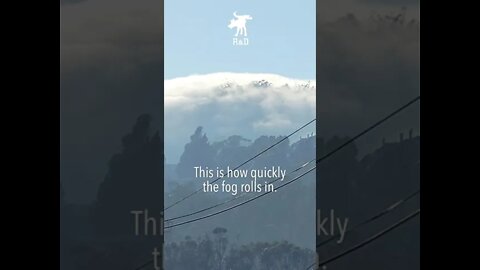 45 seconds of San Francisco Fog #shorts