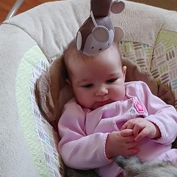 Watch This Irish Wolfhound Entertain Giggling Baby