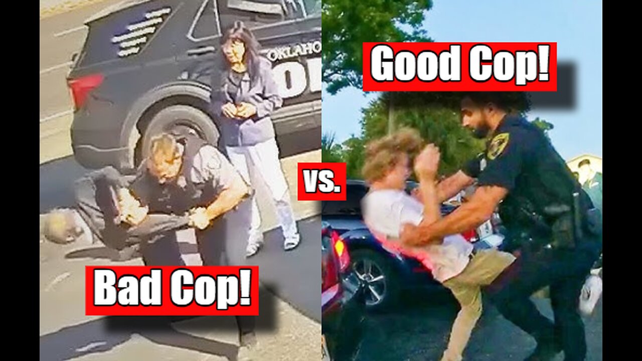 Good Cop vs Bad Cop: How the Public Judges Police Officers