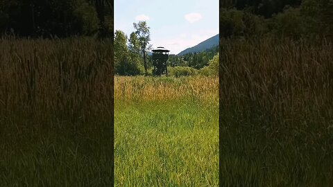 I came across this old guard Tower by Creston. #vanlife #shorts