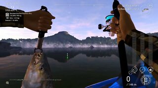 Fishing Planet Folge 566 die neuen Fischlisten abhaken am Kongo Teil 5