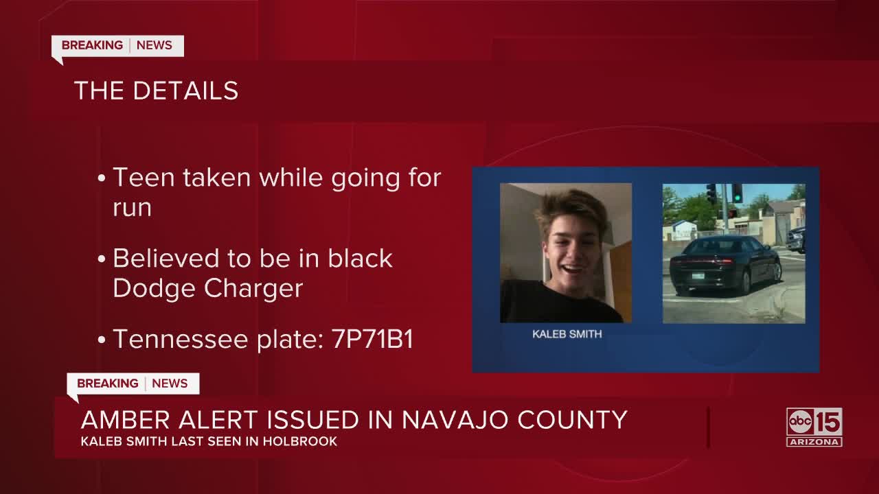 Amber alert issued in Navajo County