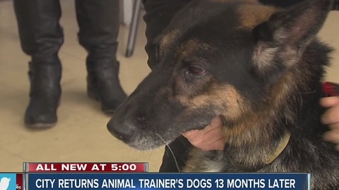 City returns animal trainer's dogs