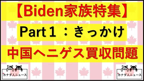 3.18 ヘニゲス買収問題
