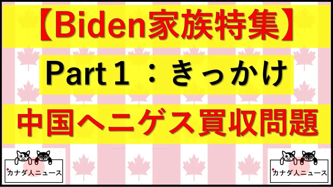 3.18 ヘニゲス買収問題