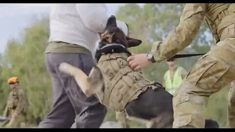 THE AUSTRALIAN PEOPLE ARE THE "TERRORISTS" THEY TALK ABOUT